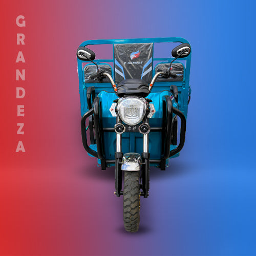 VEHÍCULOS ELÉCTRICOS DE CARGA