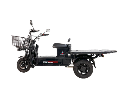 Triciclo Eléctrico E-Hermas JL19