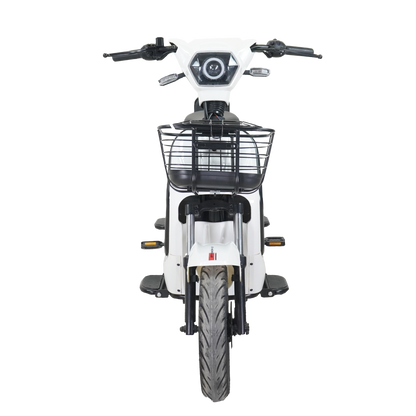 Moto bici eléctrica E-Hermas GT