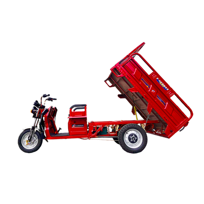 Triciclo Eléctrico de carga Xuan Feng 1.3