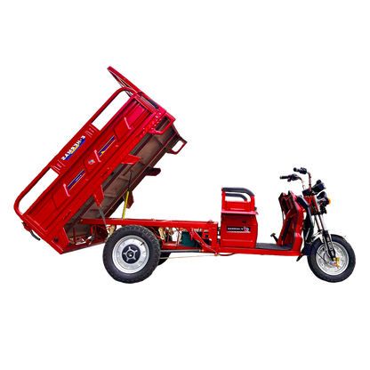 Triciclo Eléctrico E-Hermas Xuang Feng 1.8 (Una tonelada)